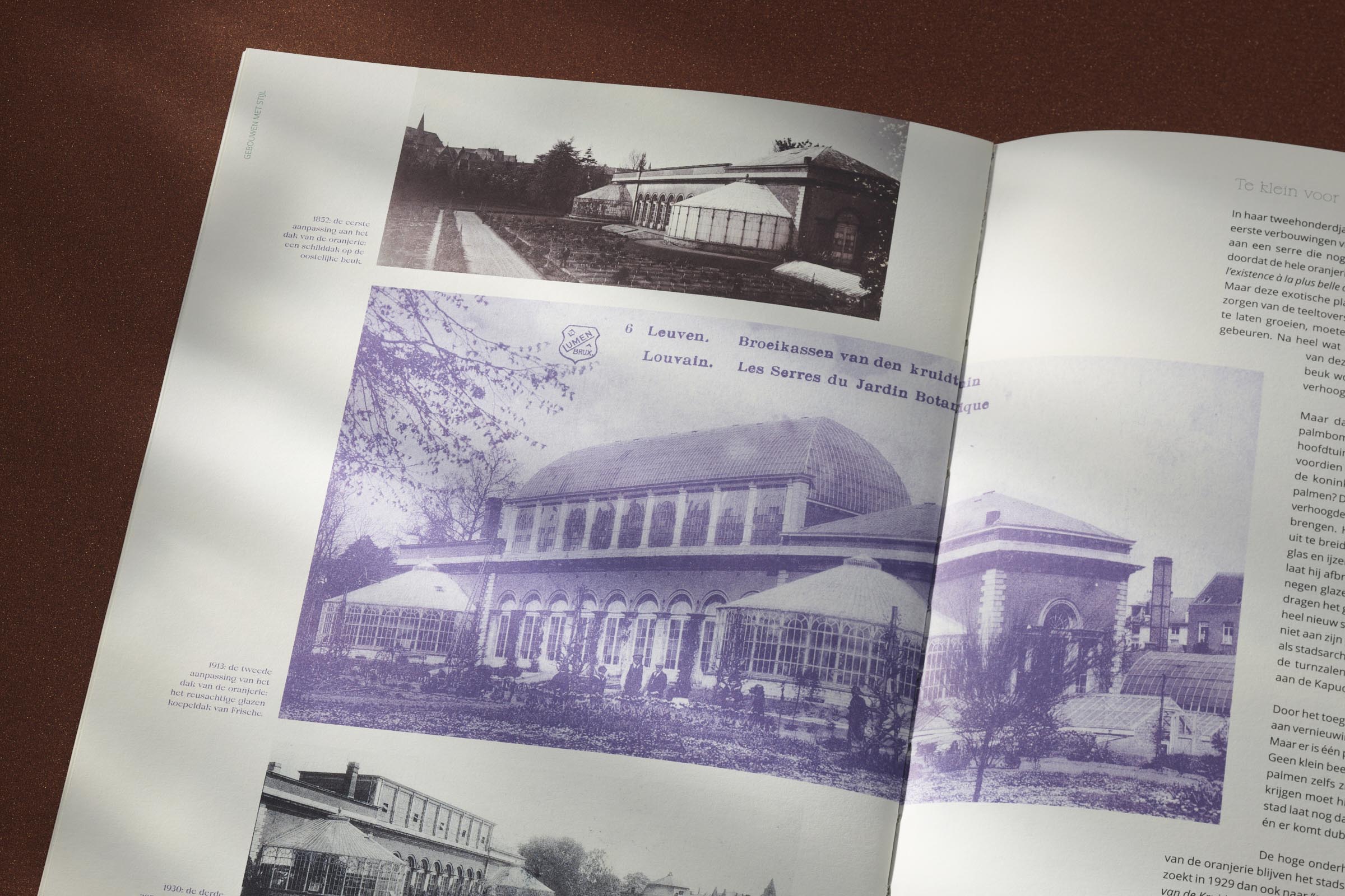 Oude foto van de Leuvense kruidtuin